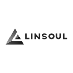Linsoul